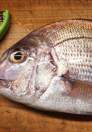 飛び散りにくい！ピーラーで魚の鱗取り♪-レシピのメイン写真