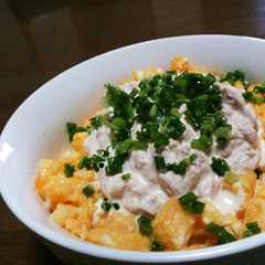 รูปของ 黄金比①活用　ポチ男のたまご丼