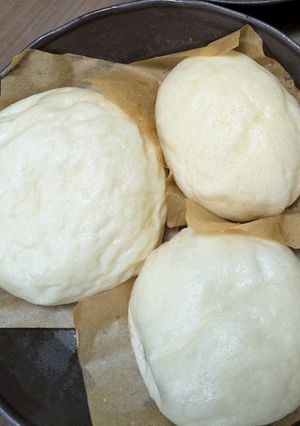 自分用肉まんの皮-レシピのメイン写真