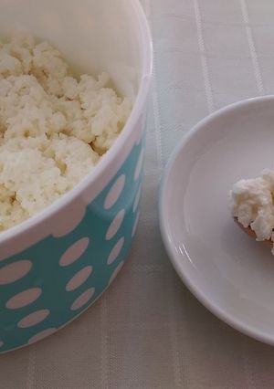 カッテージチーズ-レシピのメイン写真