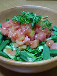 オクラと豆苗のサラダ-レシピのメイン写真