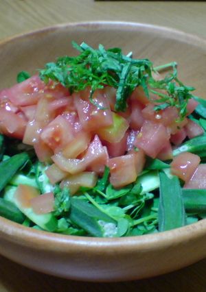 オクラと豆苗のサラダ-レシピのメイン写真
