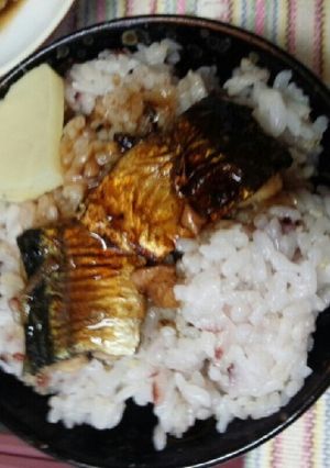 サンマのバルサミコ丼(ノンオイル)-レシピのメイン写真