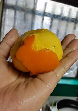 柿ウサギ(ﾉ´∀｀*)フルーツでもアート-レシピのメイン写真