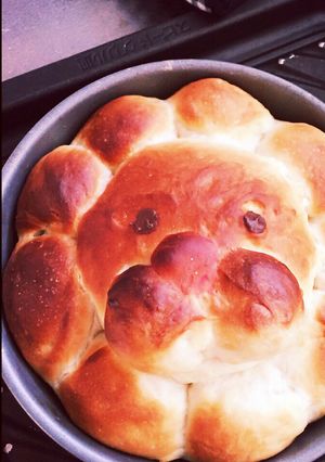 HBでポンデライオンちぎりパン-レシピのメイン写真