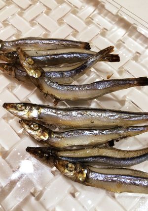 簡単5分でおつまみ＊きびなごグリル焼き-レシピのメイン写真