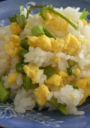 春の香りの菜種ずし-レシピのメイン写真