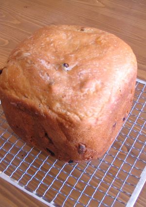 パネトーネマザーでぶどうパン（ＨＢ使用）-レシピのメイン写真