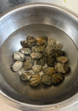 あさりの砂抜き-レシピのメイン写真
