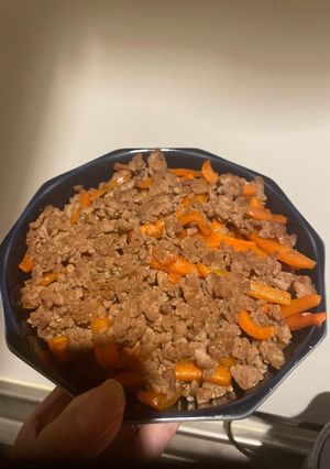 ひき肉とにんじん炒め-レシピのメイン写真