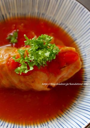 トマト風味のロールキャベツ-レシピのメイン写真