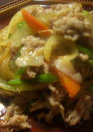 丼が美味しい☆ヒミツのしょうが焼き☆-レシピのメイン写真