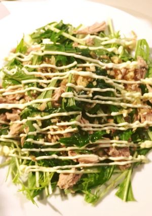 カツオの生利節＆水菜の超カンタン☆サラダ-レシピのメイン写真