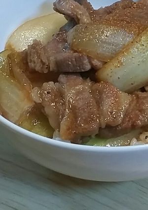 豚肩ロースとたまねぎの煮込み丼-レシピのメイン写真