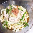 さっぱり☆豚しゃぶ梅おろしうどん