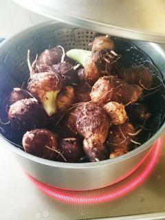 サトイモ蒸しただけ-レシピのメイン写真
