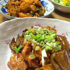 鶏肉となすのピリ辛炒め-レシピのメイン写真