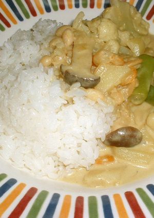 グリーンカレー-レシピのメイン写真