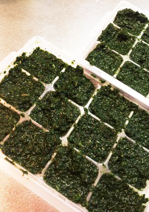離乳食全期♡ほうれん草のペースト-レシピのメイン写真