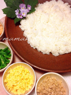 ♪みんなでワイワイ♪そぼろご飯-レシピのメイン写真