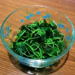 A picture of 三つ葉とわかめのからし醤油あえ.