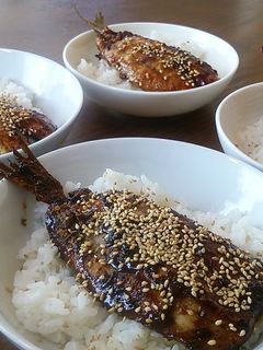 イワシの蒲焼き丼♪-レシピのメイン写真