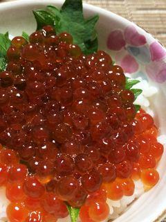 漁師さんに教わった☆いくらの醤油漬け☆-レシピのメイン写真