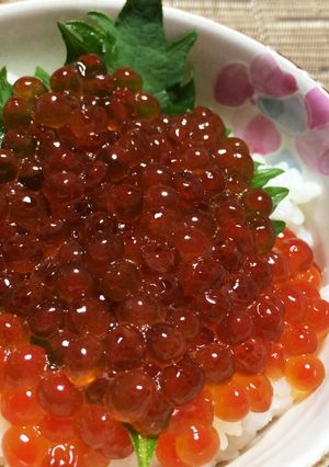 漁師さんに教わった☆いくらの醤油漬け☆-レシピのメイン写真