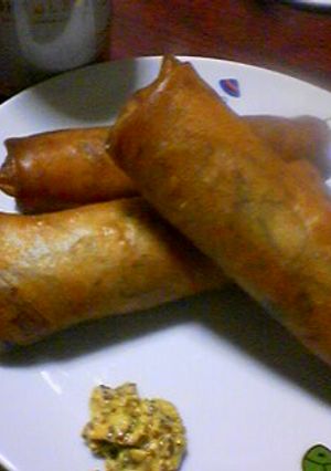 チキン春巻き-レシピのメイン写真