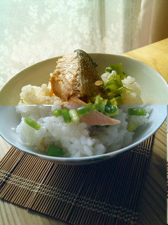 鮭で簡単ひとりご飯-レシピのメイン写真