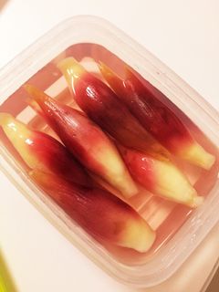 みょうがの甘酢漬け-レシピのメイン写真