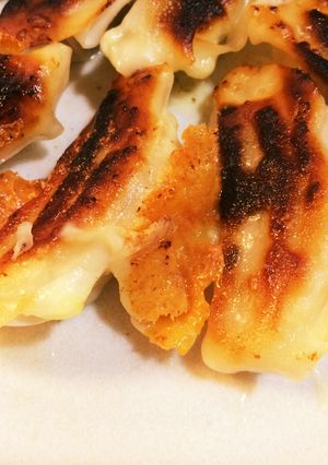 ★☆こんがりチーズ羽根餃子☆★-レシピのメイン写真