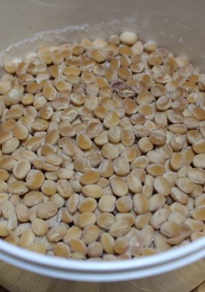 電気圧力釜とヨーグルトメーカーで納豆作り-レシピのメイン写真