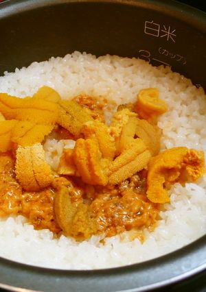 磯の香り♪雲丹ご飯!-レシピのメイン写真