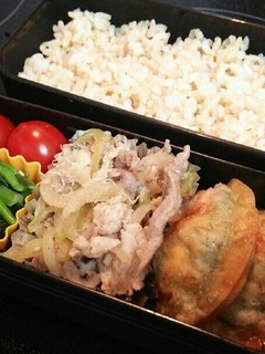 ほうれん草たっぷり揚げ餃子♡-レシピのメイン写真