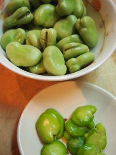 空豆をおいしく茹でるコツ-レシピのメイン写真
