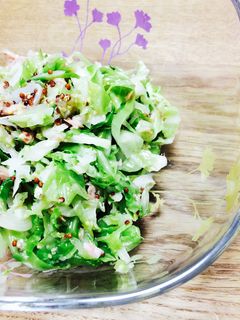 止まらないよ〜!な、キャベツナサラダ-レシピのメイン写真