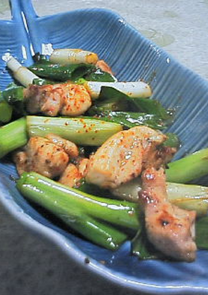 長ネギ☆鶏もも肉の塩炒め-レシピのメイン写真