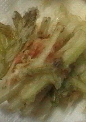 うど＆セロリ＆干し海老のかき揚げ-レシピのメイン写真