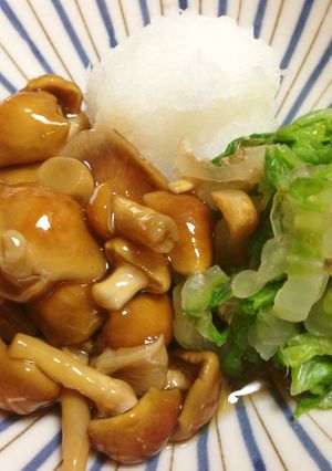 白菜のなめこおろし-レシピのメイン写真