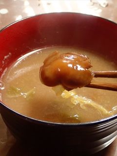 ヌメリスギタケモドキと大根白菜の味噌汁-レシピのメイン写真