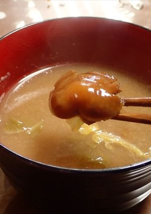 ヌメリスギタケモドキと大根白菜の味噌汁-レシピのメイン写真