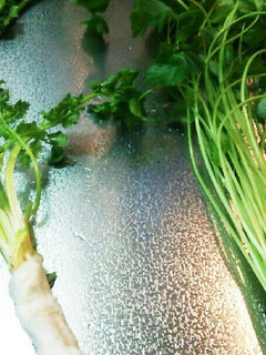 野菜の保存(葉菜類)大葉、三つ葉、香菜-レシピのメイン写真