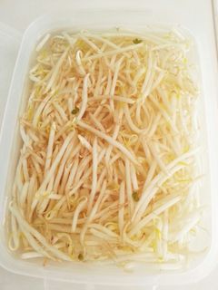 ★もやしの保存方法★-レシピのメイン写真