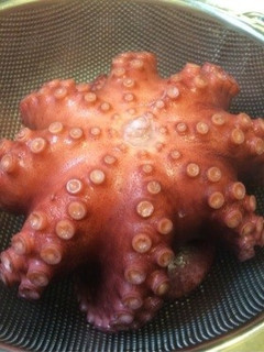 固くならないタコの茹で方-レシピのメイン写真