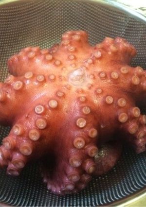 固くならないタコの茹で方-レシピのメイン写真