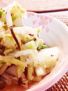 簡単☆白菜のさっぱり浅漬け-レシピのメイン写真