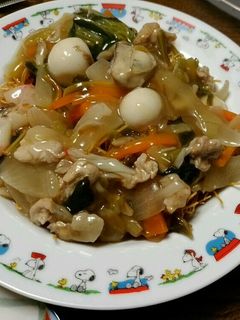 野菜たっぷり皿うどん-レシピのメイン写真