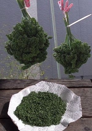 粉パセリの作り方-レシピのメイン写真