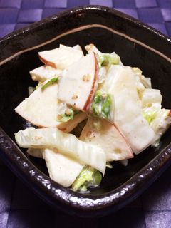 白菜のサラダ-レシピのメイン写真